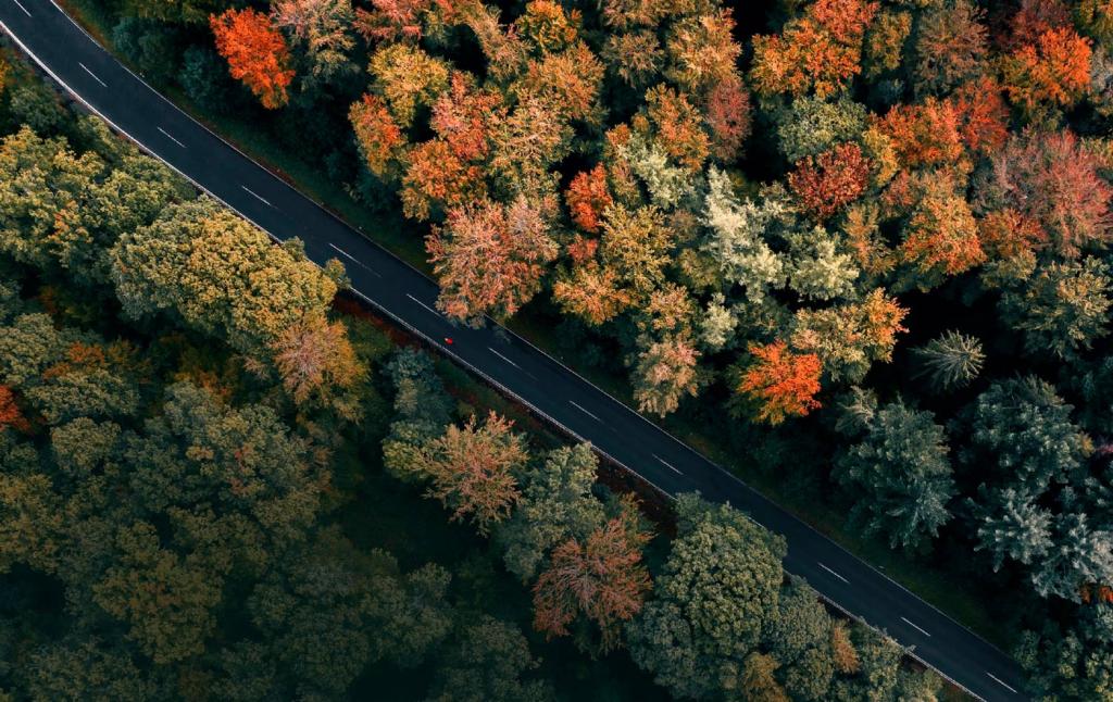 Направления применения беспилотных систем в рамках информационно-аналитического обеспечения механизма принятия бизнес-решений на примере сценария «Таксация лесосек»